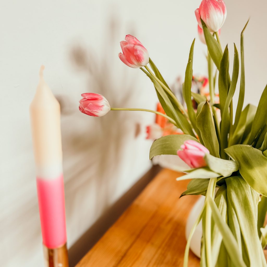 tulpen rosa weiß